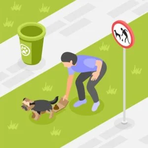 Responsible dog owner practicing Eco-friendly pet waste disposal Northeast Ohio