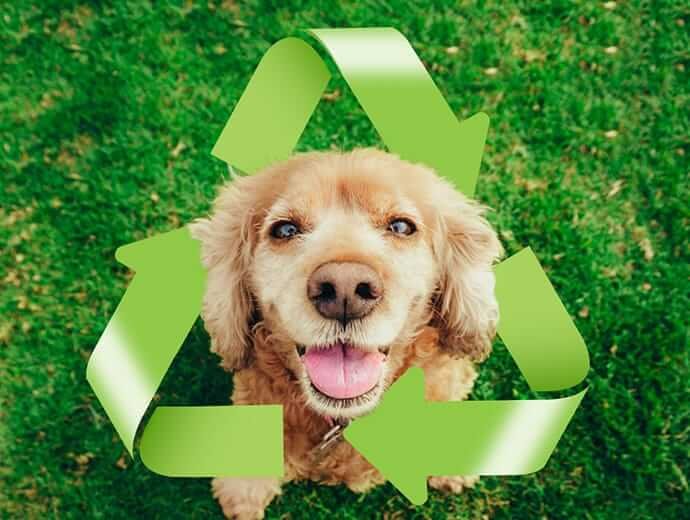 "Happy dog with recycling symbol promoting eco-friendly pet waste practices."