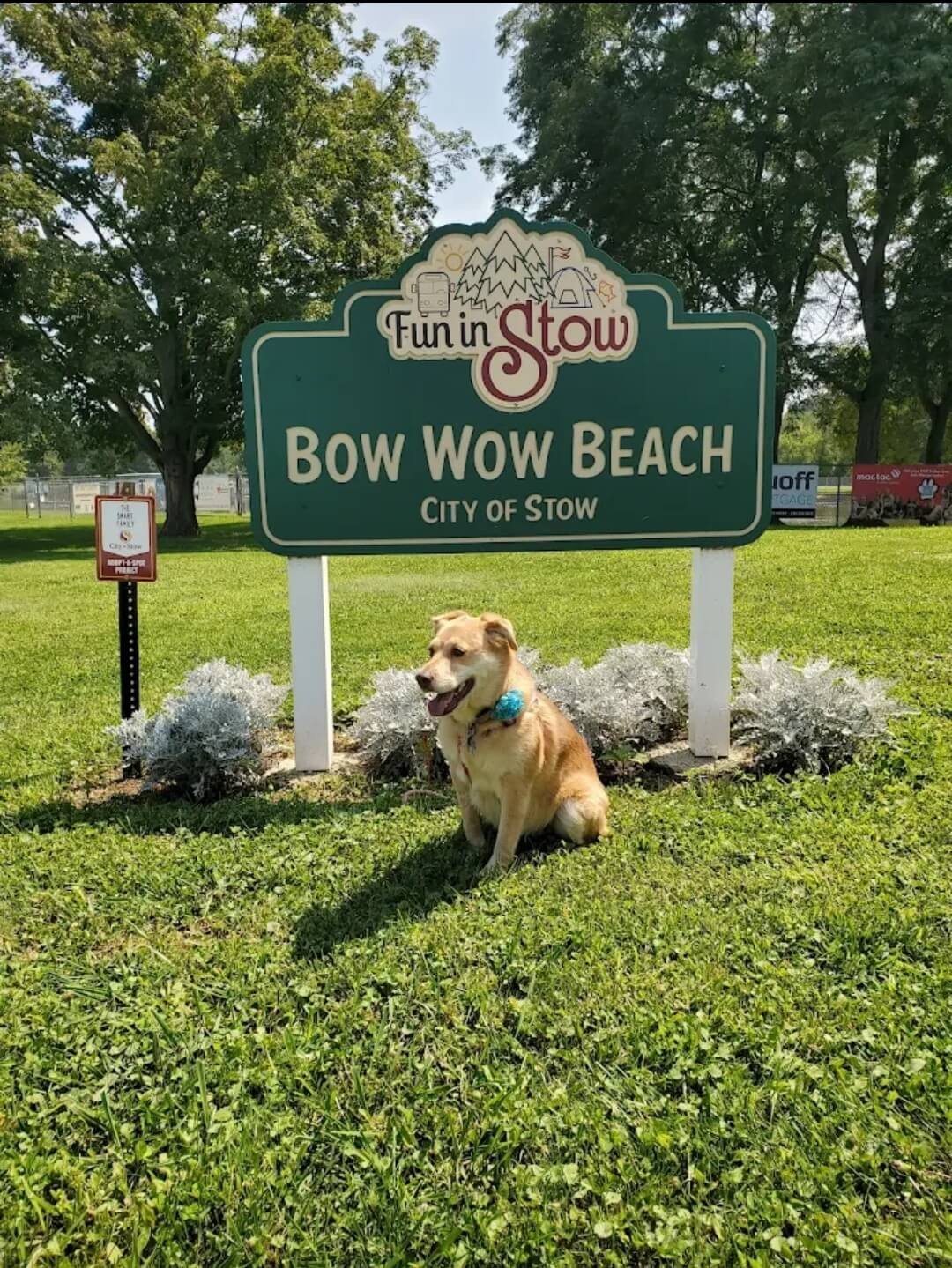 Golden-colored dog sitting in front of the “Bow Wow Beach – City of Stow” sign at a grassy park, with trees and flowerbeds in the background on a sunny day.
