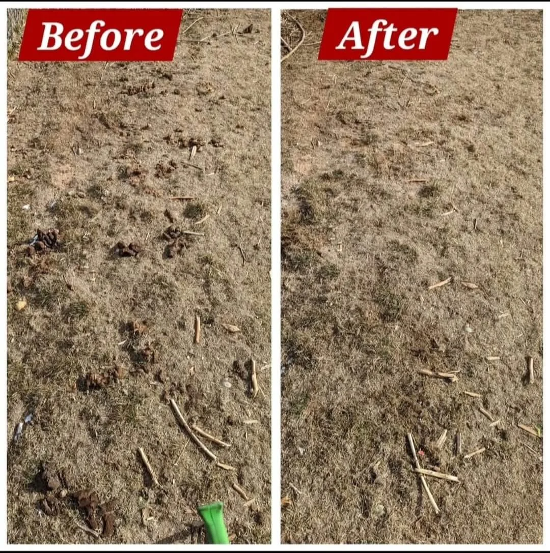 Before and after photo of a pet waste removal service showing a dirty yard covered in dog poop on the left and a clean, sanitized yard on the right after scooping and deodorizing by The Scoop Ninjas™.